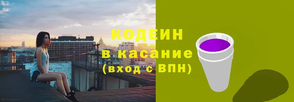 эйфоретик Бородино