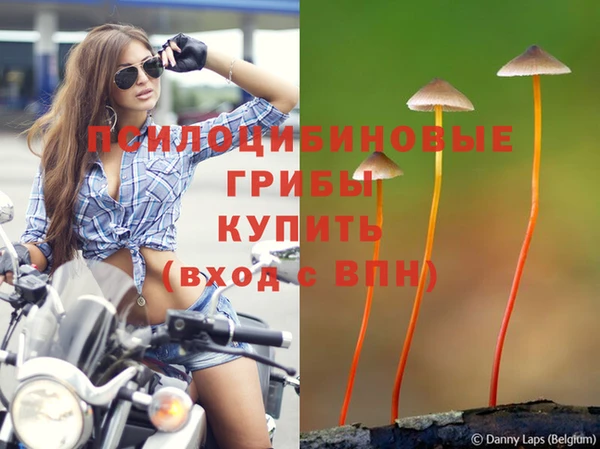 марки nbome Вязники