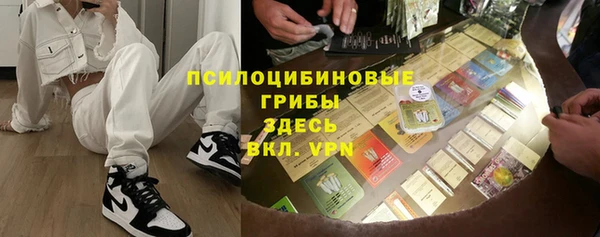 мдпв Волоколамск