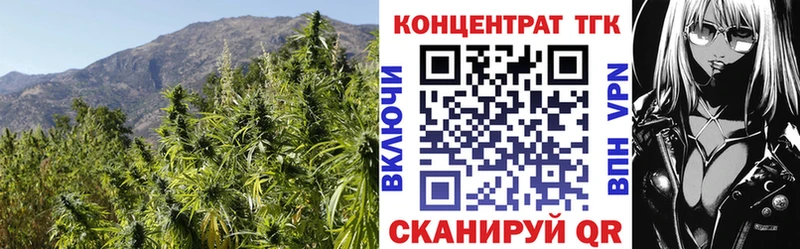ТГК концентрат  mega ТОР  Зима  цена  